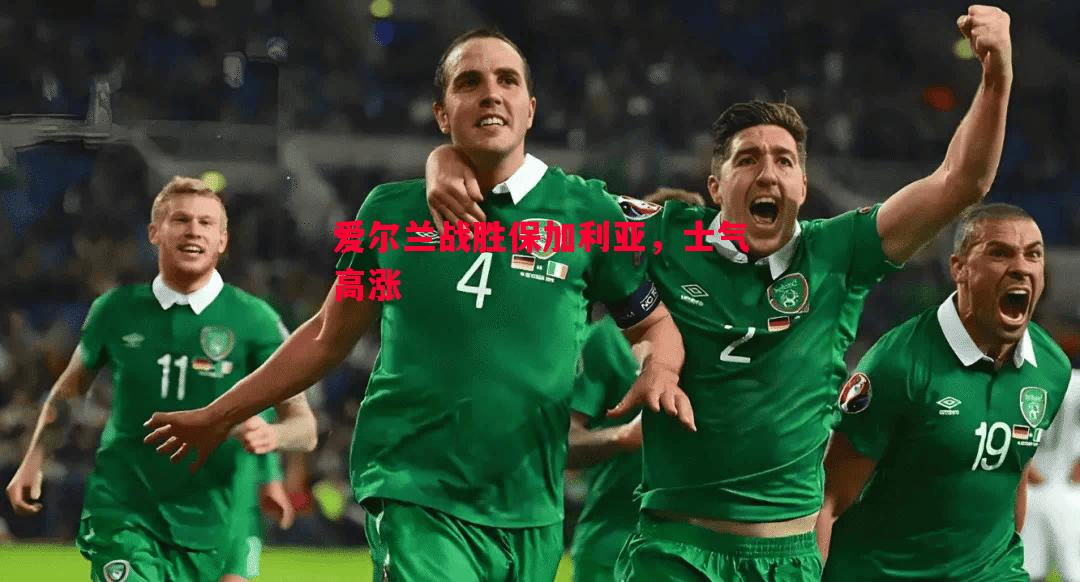 爱尔兰战胜保加利亚，士气高涨