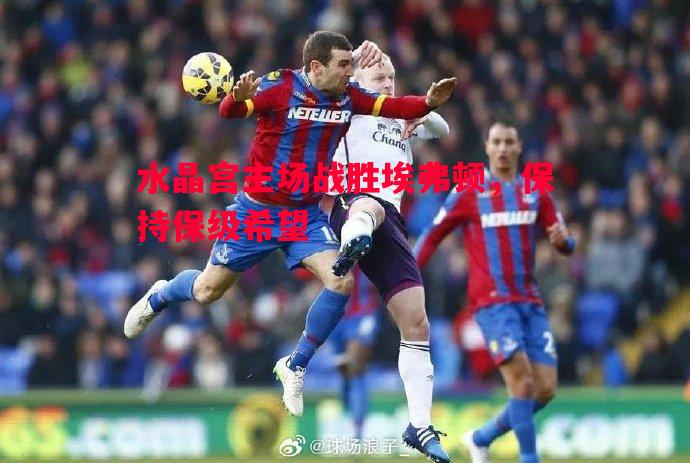 V体育官方app-水晶宫主场战胜埃弗顿，保持保级希望