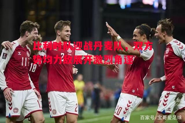 V体育官网-比利时队迎战丹麦队，双方势均力敌展开激烈角逐