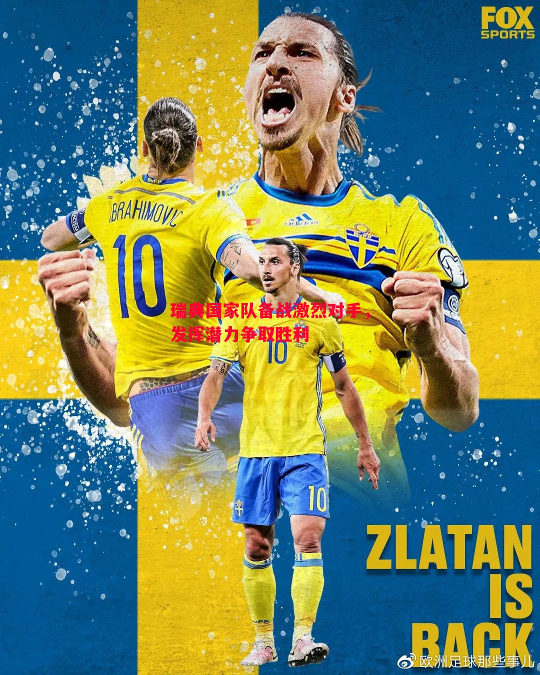 vsports体育-瑞典国家队备战激烈对手，发挥潜力争取胜利