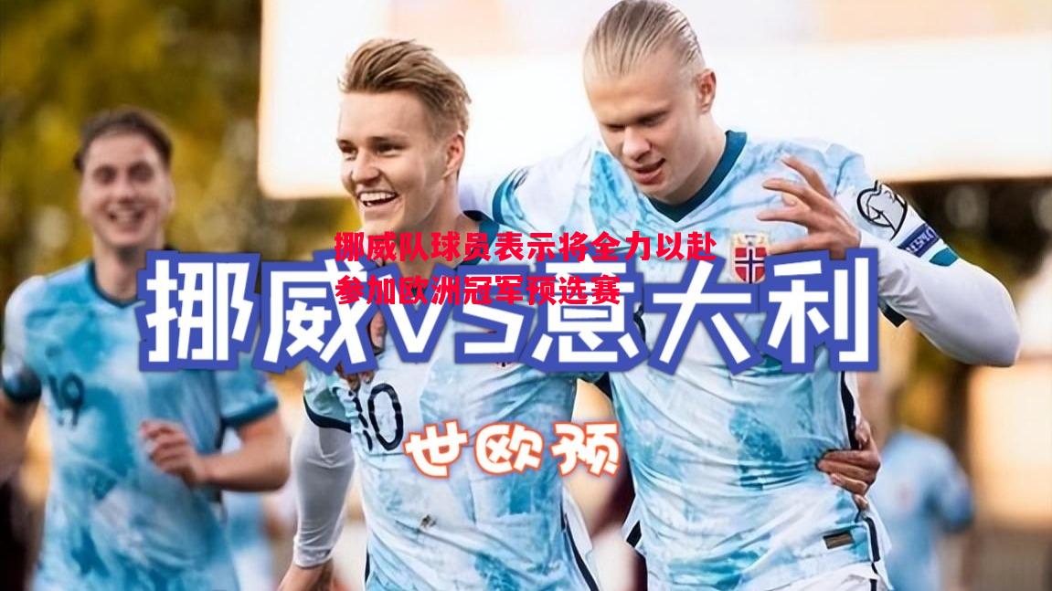V体育-挪威队球员表示将全力以赴参加欧洲冠军预选赛