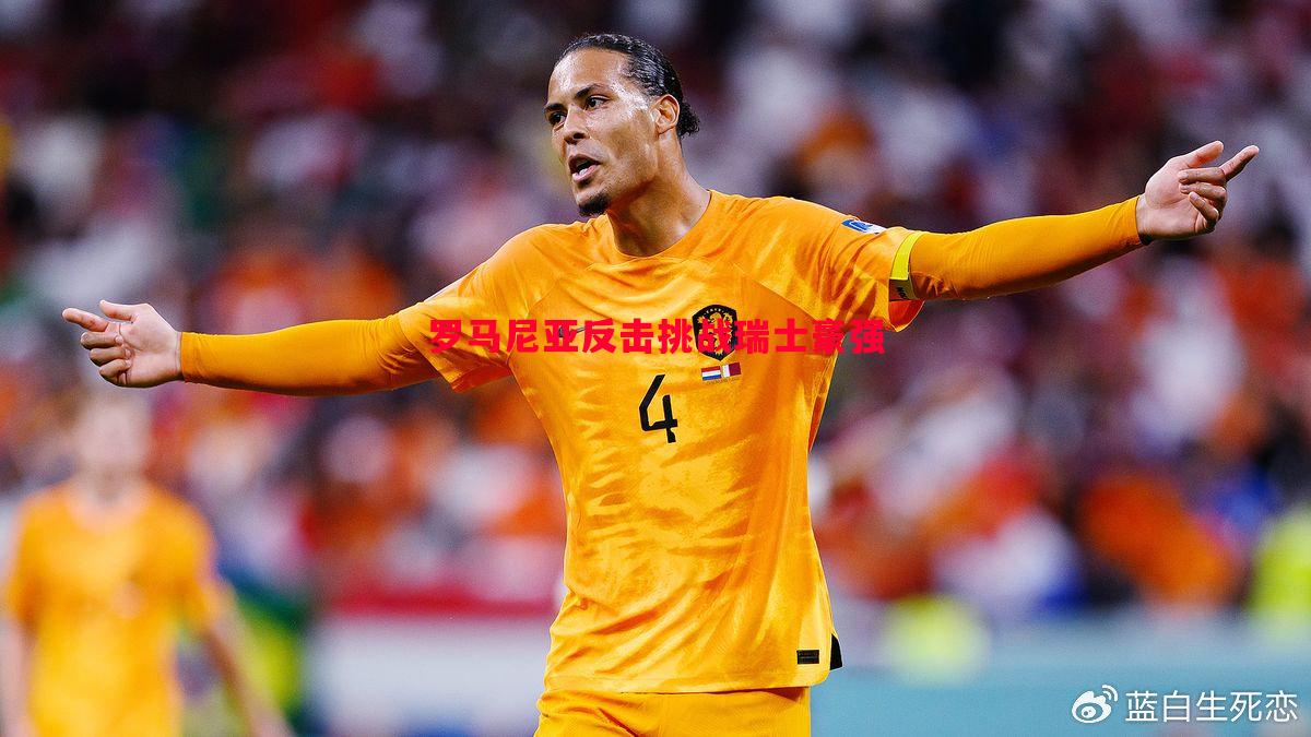 V体育官网-罗马尼亚反击挑战瑞士豪强