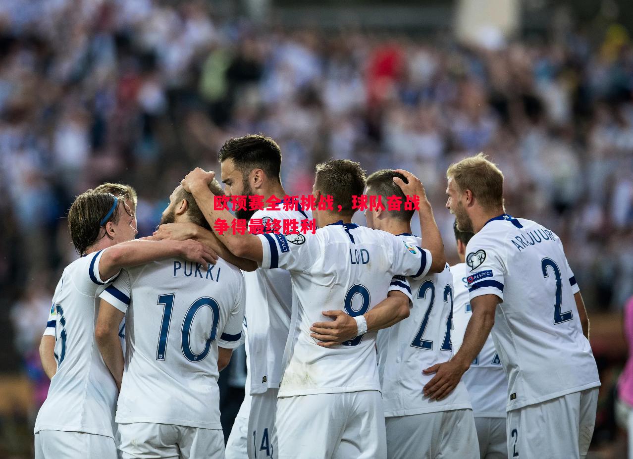 vsports体育-欧预赛全新挑战，球队奋战争得最终胜利