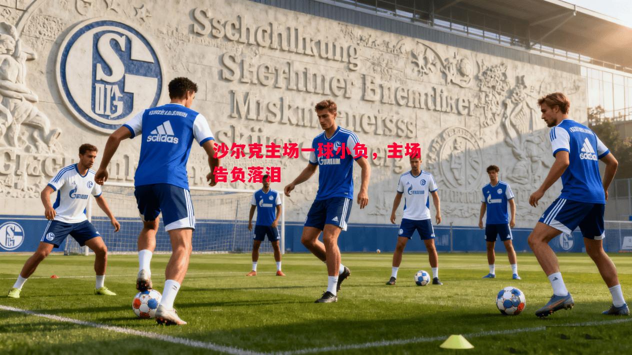 V体育官网-沙尔克主场一球小负，主场告负落泪